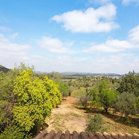 Casa Da Oliveira Villa *